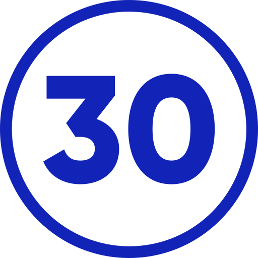 30 Icon